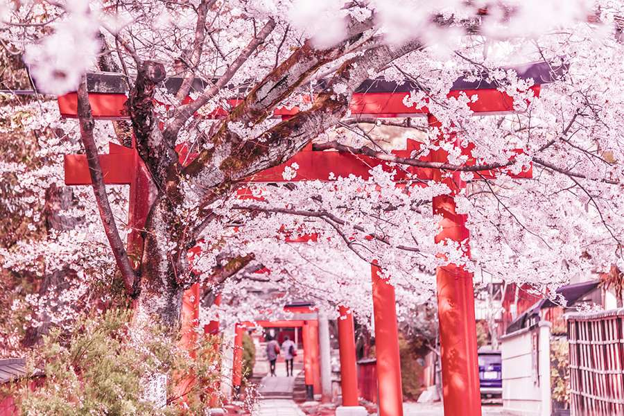 Tour Nhật Bản viếng thăm ngôi đền Fushimi Inari Taisha (Kyoto)