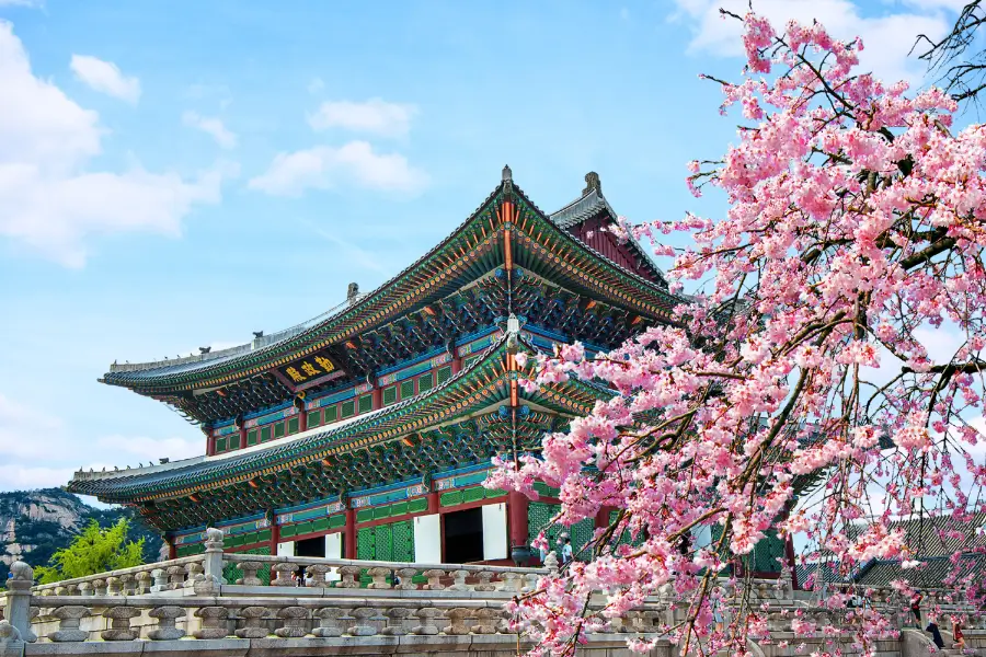 Tour Tết Hàn Quốc