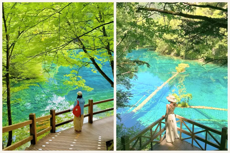 Tour Thành Đô – Cửu Trại Câu Lựa chọn cho người yêu thiên nhiên