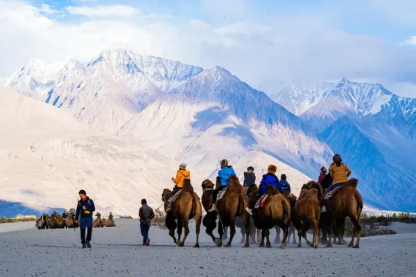 Tour du lịch Ấn Độ - Cưỡi lạc đà tại thung lũng Hunder