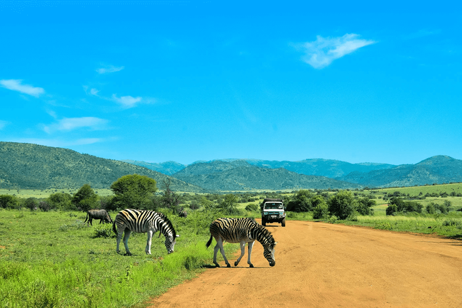 Tour du lịch Nam Phi
