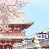 Tour du lịch Nhật Bản - Chùa Asakusa mùa hoa anh đào
