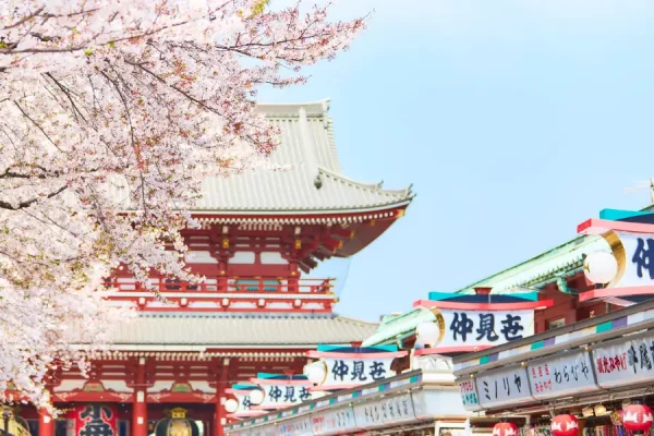 Tour du lịch Nhật Bản - Chùa Asakusa mùa hoa anh đào