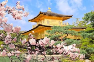Tour du lịch Nhật Bản - Chùa Kinkakuji (Chùa vàng)