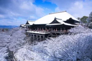 Tour du lịch Nhật Bản - Chùa Thanh Thủy – Kiyomizu-dera