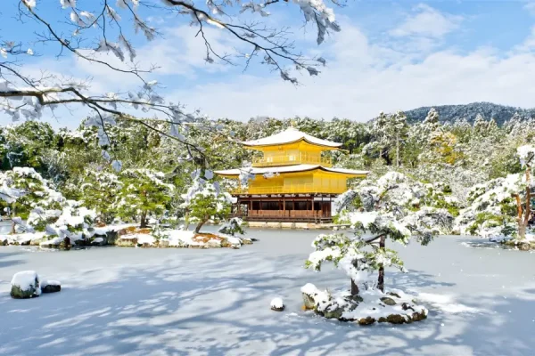 Tour du lịch Nhật Bản - Chùa Vàng Kinkakuji