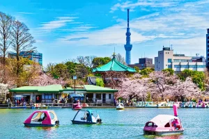 Tour du lịch Nhật Bản - Công viên Ueno