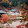 Tour du lịch Nhật Bản Mùa Thu Lá Đỏ