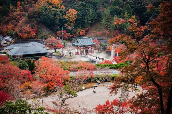 Tour du lịch Nhật Bản Mùa Thu Lá Đỏ