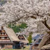 Tour du lịch Nhật Bản - Ngôi làng cổ tích Shirakawago