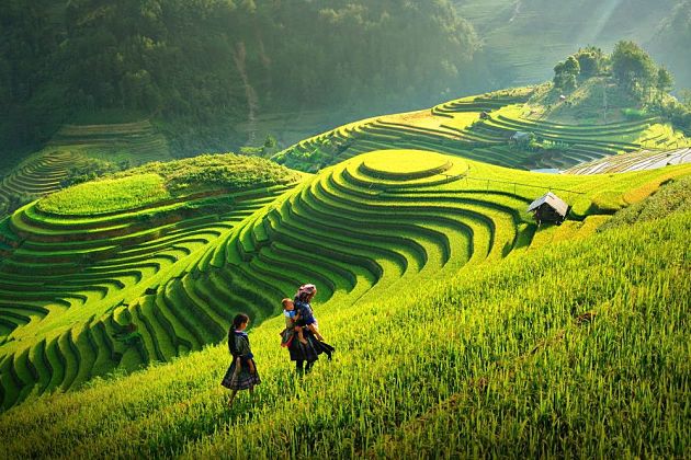 Du Lịch Tầm Nhìn Việt