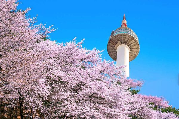 Tour du xuân Hàn Quốc tham quan Tháp truyền hình Seoul N Tower