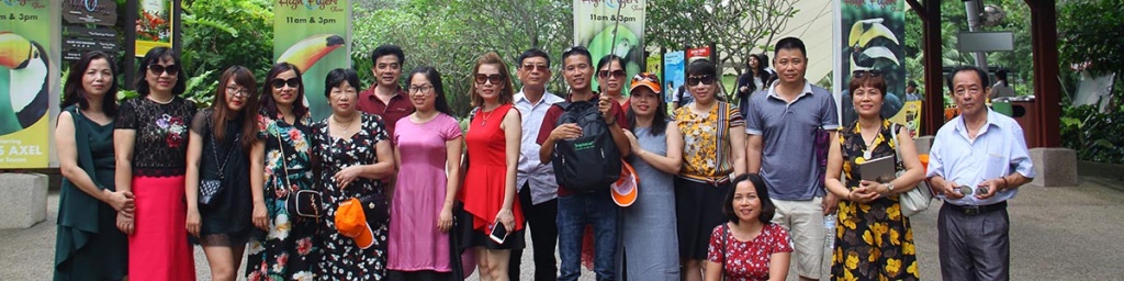 Du Lịch Tầm Nhìn Việt