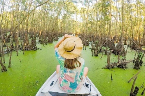 Tour miền tây linh thiêng-Rừng tràm trà sư