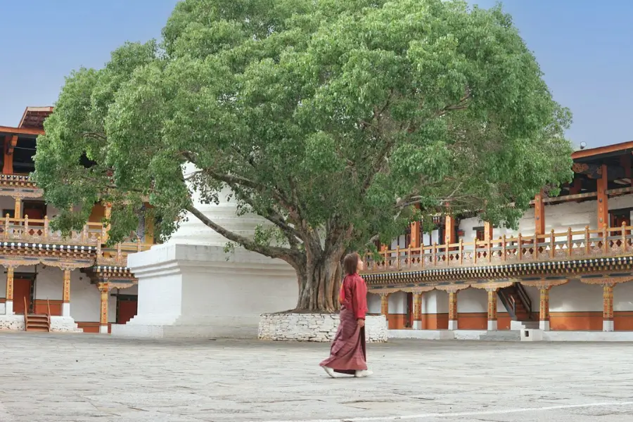 Trải nghiệm du lịch tại Punakha Dzong