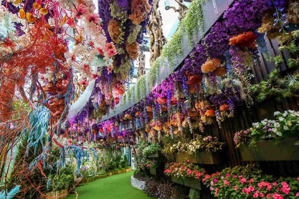 Vườn hoa Floral Fantasy