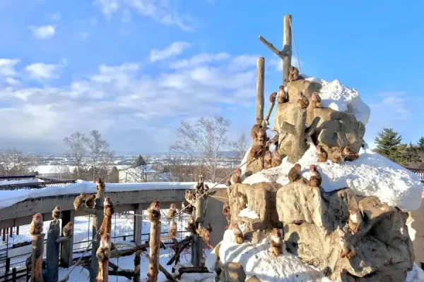 Vườn thú Asahiyama Khu Bảo Tồn động Vật Xứ Lạnh ở Hokkaido