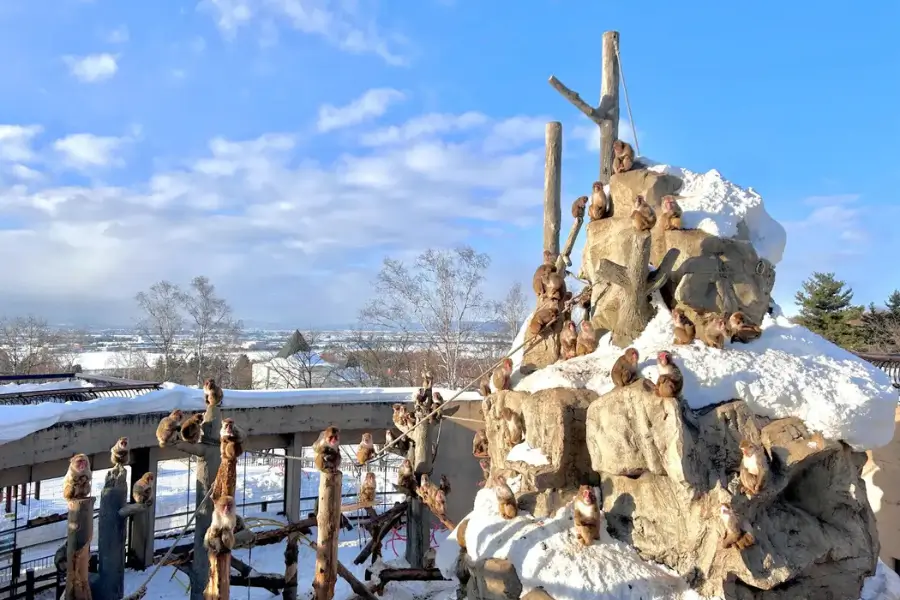 Vườn thú Asahiyama Khu Bảo Tồn động Vật Xứ Lạnh ở Hokkaido Vườn thú Asahiyama Khu Bảo Tồn động Vật Xứ Lạnh ở Hokkaido