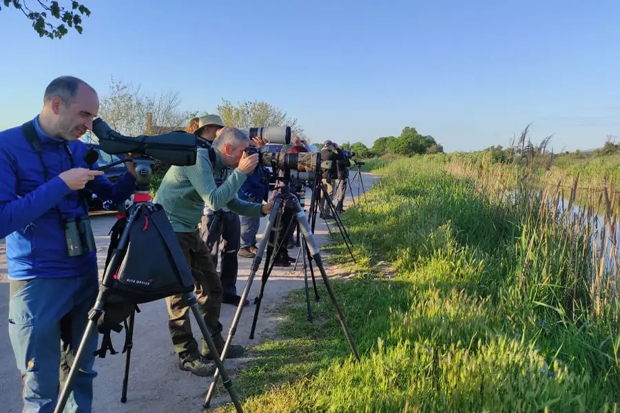 bhutan-birding-tours