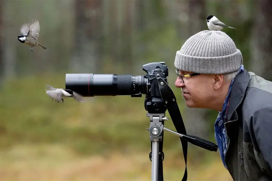 bird-watching-bhutan-birding-tour