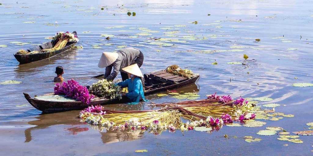 Du Lịch Tầm Nhìn Việt