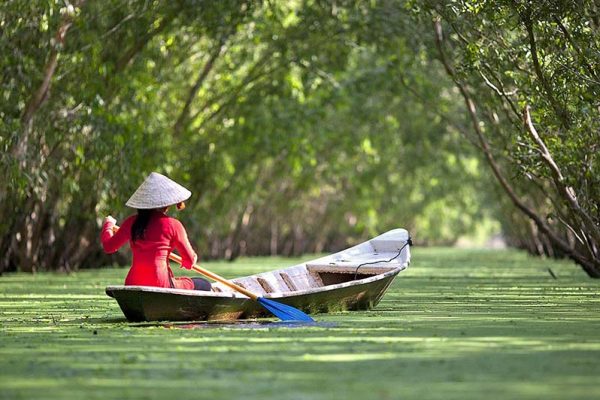 Chương trình tour du lịch miền Tây trọn gói 4 ngày 3 đêm - Rừng tràm Trà Sư