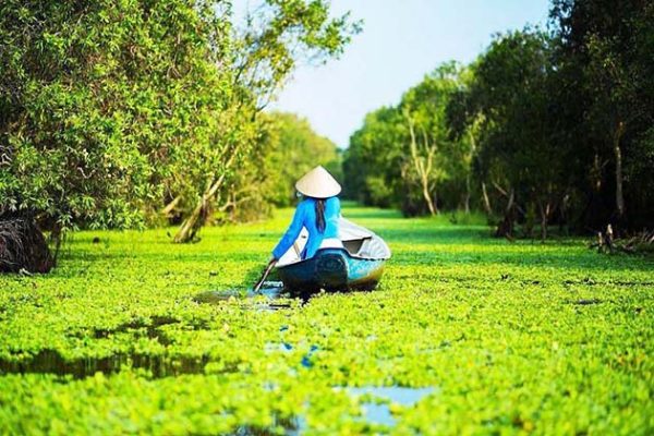 Chương trình tour du lịch miền Tây trọn gói - Rừng tràm Trà Sư