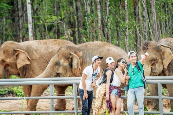 combo du lịch phú quốc 4 ngày 3 đêm 2020 đến vinpearl safari