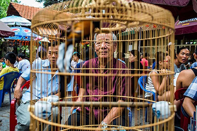Du Lịch Tầm Nhìn Việt