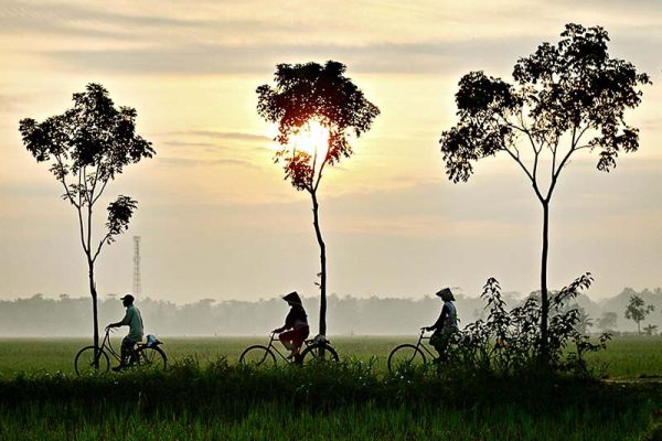 Công ty du lịch chuyên tour miền Tây: Cần Thơ - Tiền Giang - 3 ngày đi từ Sài Gòn