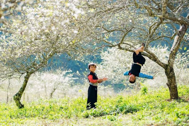 Du Lịch Tầm Nhìn Việt