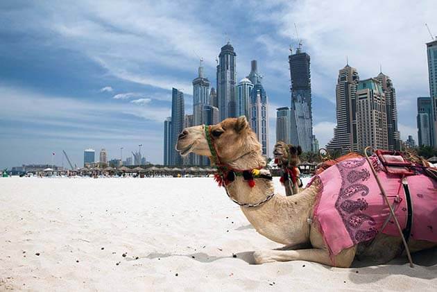 Đặt tour du lịch Dubai 5 ngày từ Hà Nội