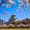 Đặt tour du lịch Nhật Bản trọn gói 6 ngày - Lâu đài Osaka