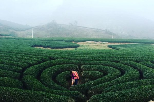 Đặt tour du lịch Tây Bắc: Mộc Châu - Điện Biên - Sapa - 5 ngày trọn gói