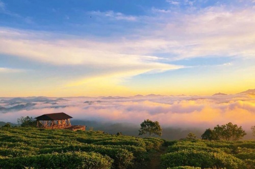 đỉnh núi lang biang đà lạt