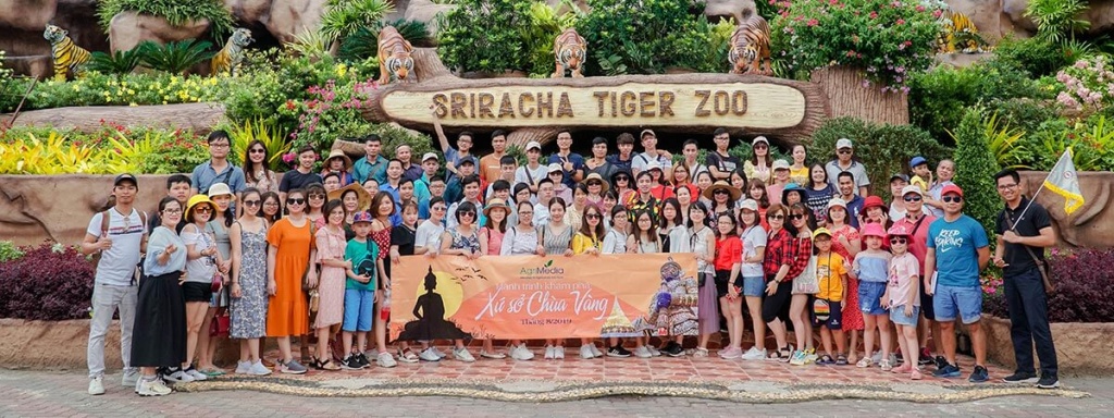 Du Lịch Tầm Nhìn Việt