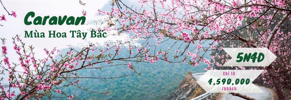 Du Lịch Tầm Nhìn Việt