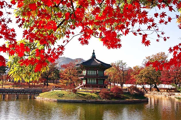 Kinh nghiệm đi tour du lịch Hàn Quốc mùa thu