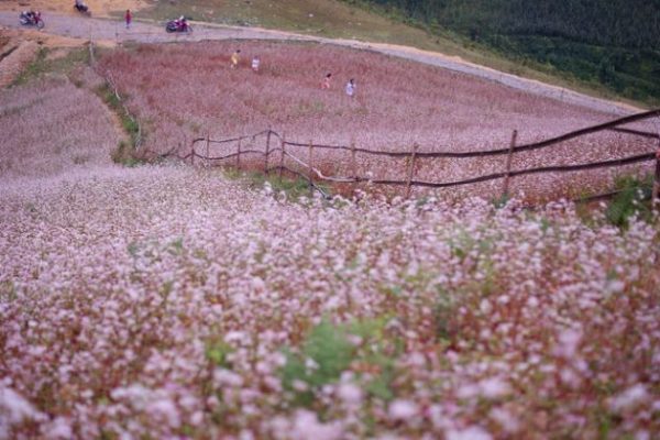 lử thần simacai hà giang