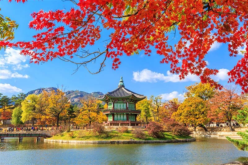 Tour Hàn Quốc mùa lá đỏ