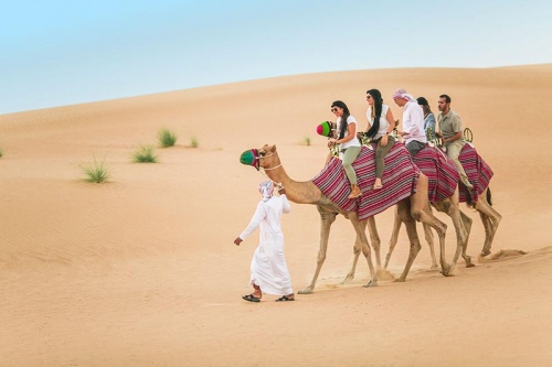 Tour đi du lịch Dubai 6 ngày - Cưỡi lạc đà trên sa mạc