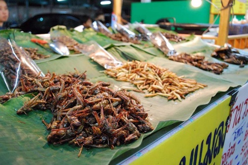 Tour du lịch Campuchia 4 ngày - Chợ Côn Trùng
