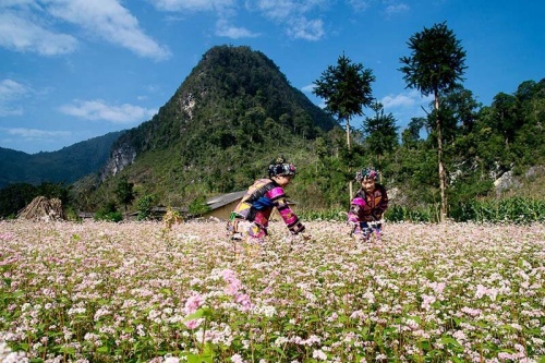 Tour du lịch Hà Giang trọn gói đi từ Hà Nội - Bản Sủng Là