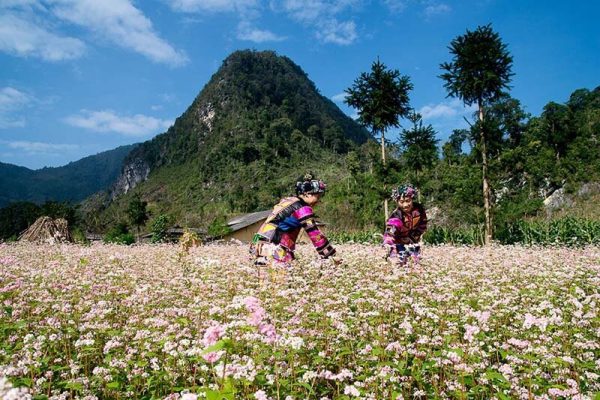 Tour du lịch Hà Giang trọn gói đi từ Hà Nội - Bản Sủng Là