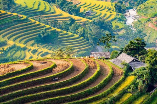 tour du lịch khám phá hoàng su phì hà giang