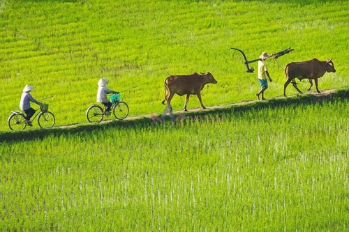 Tour du lịch miền Tây Nam Bộ: Mỹ Tho - Cần Thơ - Bạc Liêu - Cà Mau khởi hành từ Sài Gòn
