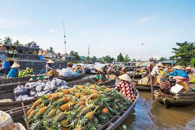 Tour du lịch miền Tây: Sài Gòn - Cần Thơ - Tiền Giang - 3 ngày trọn gói