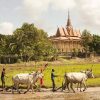 Tour du lịch miền Tây: Sài Gòn - Phnom Penh - Siem Reap 8 ngày đi từ Sài Gòn