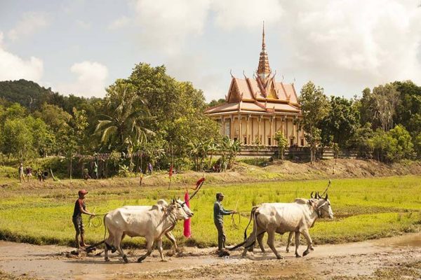 Tour du lịch miền Tây: Sài Gòn - Phnom Penh - Siem Reap 8 ngày đi từ Sài Gòn