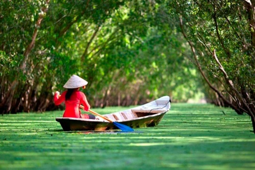 Tour du lịch miệt vườn miền Tây 4 ngày đi từ Sài Gòn